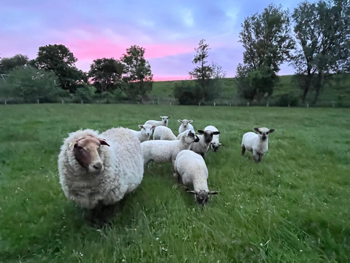 Reetkate Kaltenhoern Tetenbull Buitenkant foto
